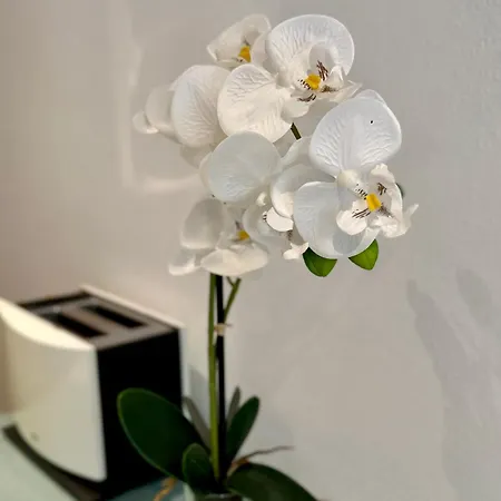 Apartament Beefree Cozy Mini Loft35 I Free Parking I Bus Stop Pasawa